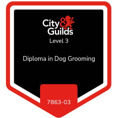 City and Guilds Level 3 Diploma in Dog Grooming