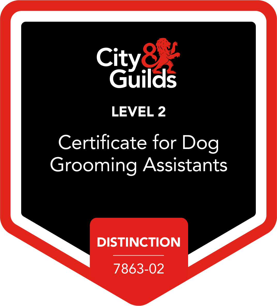 City and Guilds Level 2 Certificate in Dog Grooming