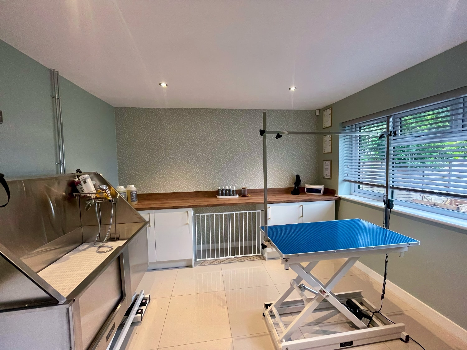 Fur Tree Dog Spa Rooms